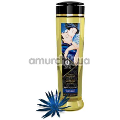 Массажное масло Shunga Erotic Massage Oil Seduction Midnight Flower - полуночные цветы, 240 мл - Фото №1