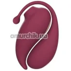 Набор Adrien Lastic Inspiration: Clitoral Suction Stimulator + Vibrating Egg, бордовый - Фото №1