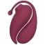 Набор Adrien Lastic Inspiration: Clitoral Suction Stimulator + Vibrating Egg, бордовый - Фото №1