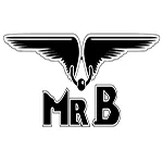 Mister B