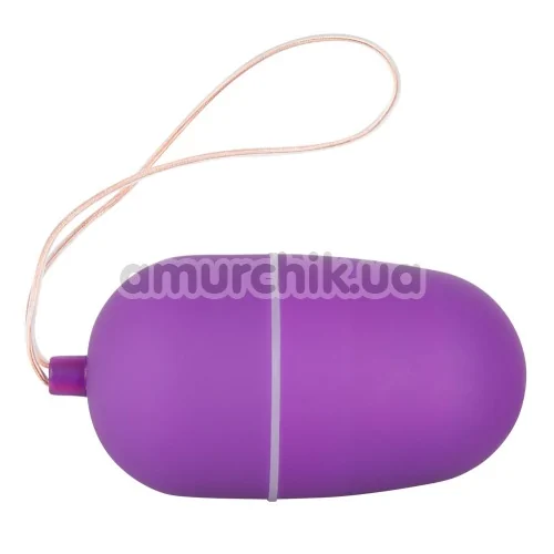 Виброяйцо с дистанционным пультом Lust Control фиолетовое