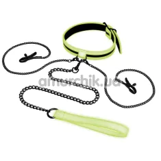 Ошейник с поводком и зажимами для сосков Whipsmart Glow In The Dark Collar With Nipple Clips And Leash, светящийся в темноте - Фото №1