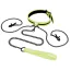 Нашийник із повідцем і затискачами для сосків Whipsmart Glow In The Dark Collar With Nipple Clips And Leash, світиться в темряві - Фото №1