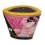 Свічка для масажу Shunga Massage Candle Rose Petals - пелюстки троянди, 170 мл - Фото №2