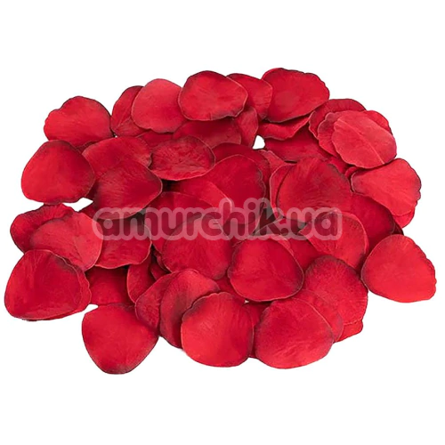 Набір Amour The Hearts of Love Happy Hearts Kit