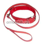 Ошейник с поводком DS Fetish Collar With Leash Short, красный - Фото №1