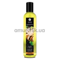 Массажное масло Shunga Massage Oil Almond Sweetness - миндаль, 250 мл - Фото №1