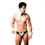 Костюм офіціанта JSY Sexy Lingerie SO2297 чорно-білий: труси + галстук + манжети - Фото №1