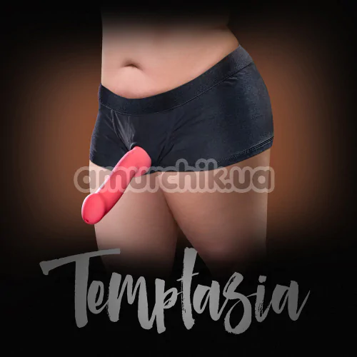 Трусики для страпона Temptasia Harness Briefs, черные