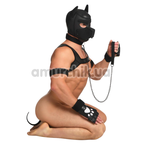 Бондажний набір Master Series Deluxe Pup Arsenal Set, чорний