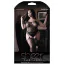 Комбінезон Sheer Fantasy Nights Like This Gartered Bodystocking, чорний - Фото №2