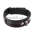 Ошейник Fetish Tentation Premium Patent Leather Choker, черный - Фото №1