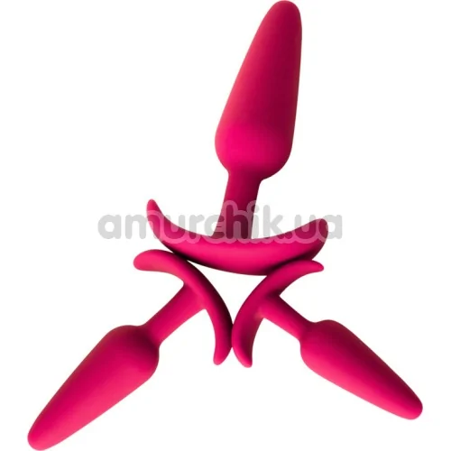 Набір з 3 анальних пробок  Toyfa Popo Pleasure 731332, фіолетовий