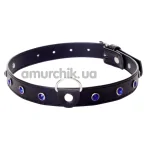 Нашийник з синіми кристалами Boss Series Fetish Collar, чорний - Фото №1