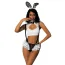Костюм зайчика JSY Sexy Lingerie белый: топ + шортики + обруч + чокер - Фото №1
