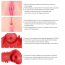 Искусственная вагина и анус с вибрацией Kokos Onahole 001 Real Hips Adel, телесная - Фото №10