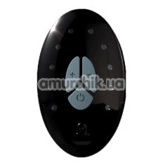 Пульт Adrien Lastic LRS - Lastic Remote System + Cable - Фото №1