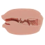 Мастурбатор Lovetoy Slider Double-Ended Masturbator Vagina and Mouth, телесный - Фото №6