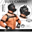 Бондажний набір Master Series Deluxe Pup Arsenal Set, чорний - Фото №21