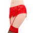 Комплект Star Night Mesh & Bow Garter Panties, червоний: пояс для панчіх + трусики-стрінги - Фото №6