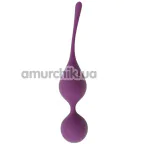 Вагинальные шарики Sweet Em Velvet Lure Bloom Duo, фиолетовые - Фото №1