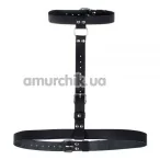 Портупея sLash Double Ring of Humiliti Smooth, черная - Фото №1