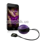 Вагинальный шарик с вибрацией Amor Vibratissimo Ball, фиолетово-черный - Фото №1