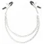Зажимы для сосков Loveshop Double Chain, серебряные