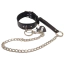 Ошейник с поводком DS Fetish Collar With Silver Leash, черный - Фото №1
