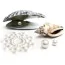 Украшения для сосков Bijoux Indiscrets Mimi Pearl Pasties, белые - Фото №3