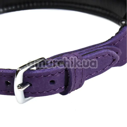 Ошейник DS Fetish Leather Collar Jewel, фиолетовый