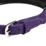 Ошейник DS Fetish Leather Collar Jewel, фиолетовый - Фото №3