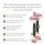 Роликовый массажер Geske Rose Quartz Face & Body Roller 5 in 1, черно-золотой - Фото №6