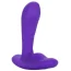 Вібростимулятор простати Silicone Remote Pinpoint Pleaser, фіолетовий - Фото №3
