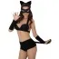 Комплект Catwoman, чорний : шорти + бюстгалтер + маска + обруч з вушками + рукавички - Фото №1
