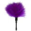 Пір'їнка для пестощів Easy Toys Feather Tickler XS, фіолетове - Фото №1