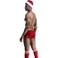 Костюм новорічний JSY Sexy Lingerie SO3676 червоно-білий: труси + галстук + шапка + гетри - Фото №3