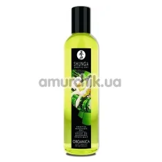 Массажное масло Shunga Erotic Massage Oil Exotic Green Tea - экзотический зеленый чай, 250 мл - Фото №1