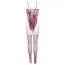 Боди Mandy Mystery Lingerie Catsuit, фиолетовое - Фото №4