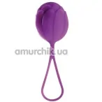 Вагинальный шарик Mai Attraction Pleasure Toys N65, фиолетовый - Фото №1