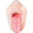 Симулятор орального секса Zero Tolerance Real Mouth Stroker, телесный - Фото №3