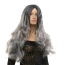 Перука Fetish Hair Wavy Balayage Wig With No Bangs, сіра - Фото №2