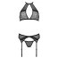 Комплект Passion Free Your Senses Erotic Line Satara Set, черный: бюстгальтер + трусики + пояс для чулок - Фото №3