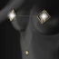 Зажимы для сосков Lockink Adjustable Metal Nipple Clamps with Heavy Pendant, золотые - Фото №13