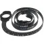 Ремень для душа для гидропомпы Bathmate Shower Strap And Measuring Gauge с линейкой, чёрный - Фото №2