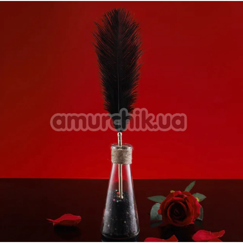 Набір пір'їнок для пестощів Lockink Natural Peacock Flirting Feather Tickler, райдужний