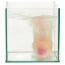 Бомбочка для ванни у вигляді грудей Bath Bomb Boob - полуниця, 180 г - Фото №5