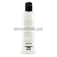 Лубрикант Mister B Lube, 500 мл - Фото №1