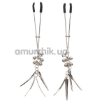 Зажимы для сосков Taboom Jewel Tweezer, серебряные - Фото №1
