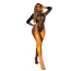 Боди Star Night Zebra Mesh Rhinestone Bodysuit, черное - Фото №6